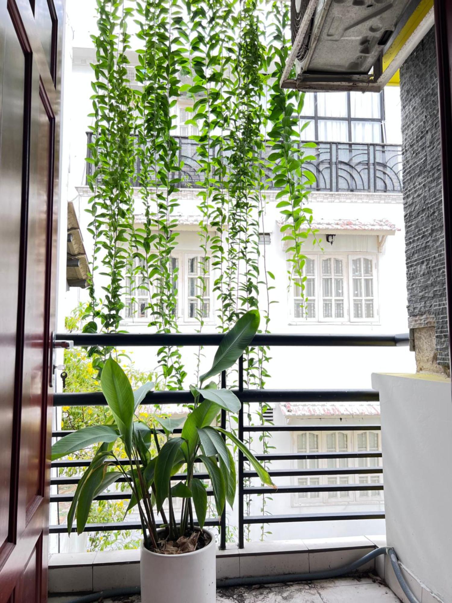 Co Homestay Saigon Cidade de Ho Chi Minh Exterior foto
